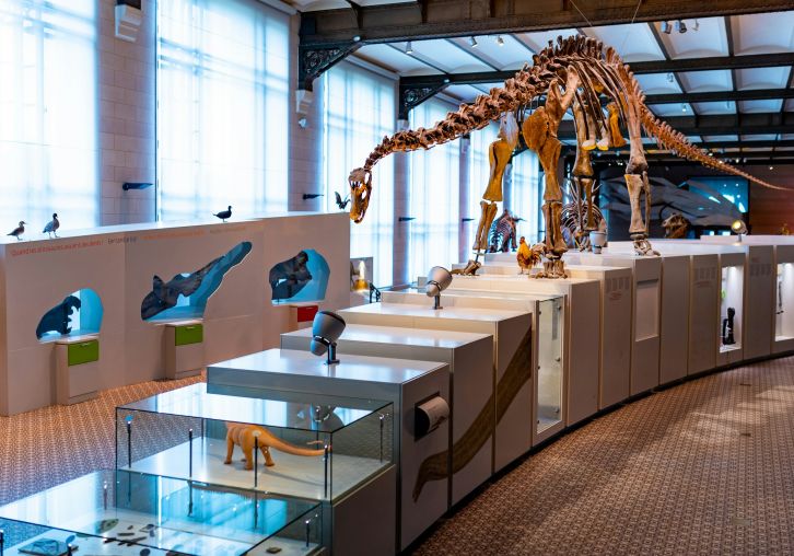 Apartments at Palladian Place in Durham, NC with nearby science museum and dinosaur exhibit